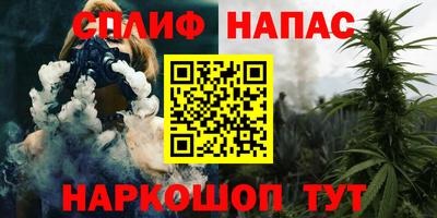 крисы Коммунар