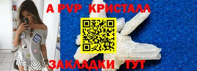 крисы Коммунар