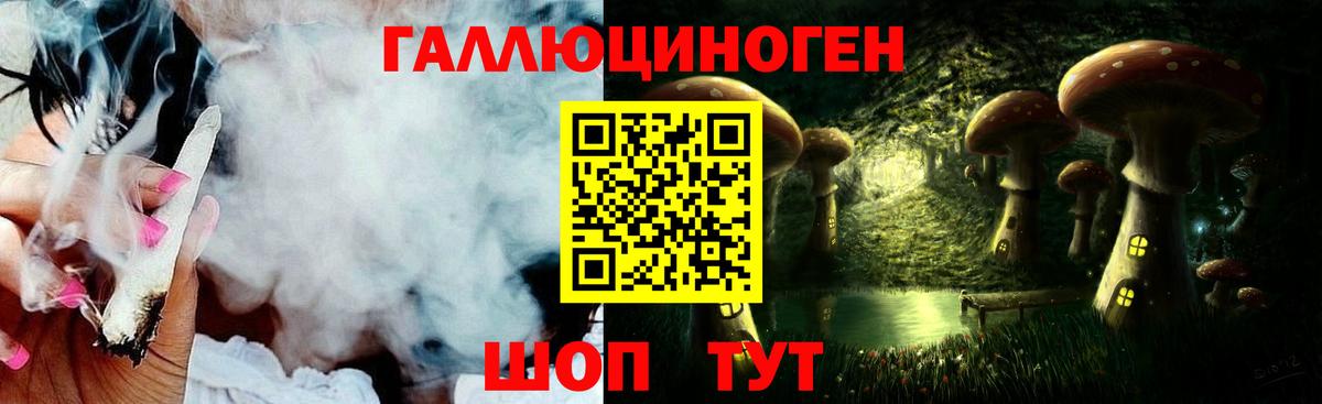 Псилоцибиновые грибы Cubensis Волжский